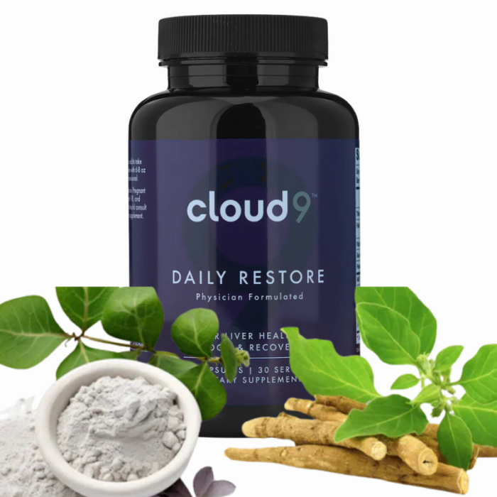 Cloud9 Daily Restore