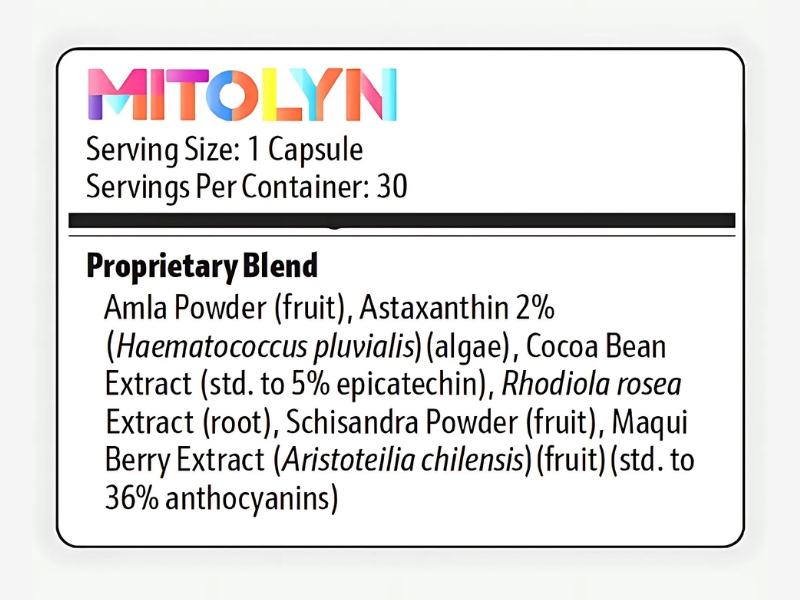 Deep Dive Into Mitolyn’s Ingredients What Powers This Mitochondrial-Support Supplement