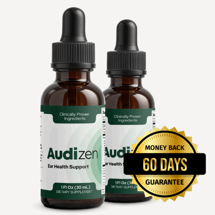 Audizen