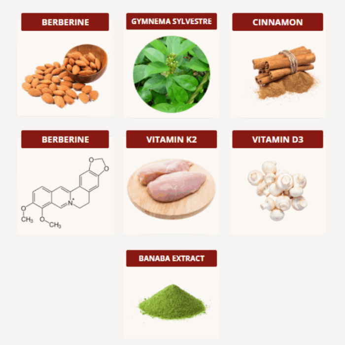 Blood Sugar Support + - Image 2