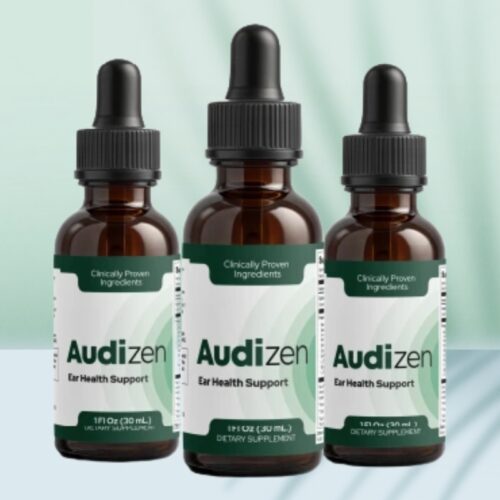 Audizen Army Hack