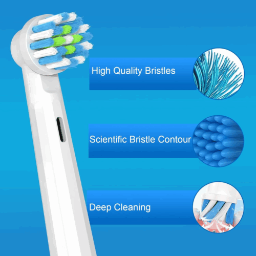 Cellena Oral-B Replacement Toothbrush