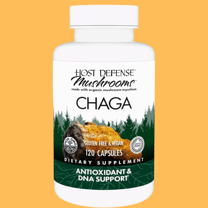 Double Wood Chaga Mushroom Capsules