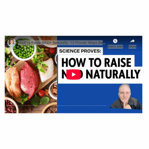 Increase NAD Naturally