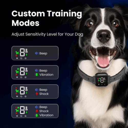 NooBark Anti-Bark Collar