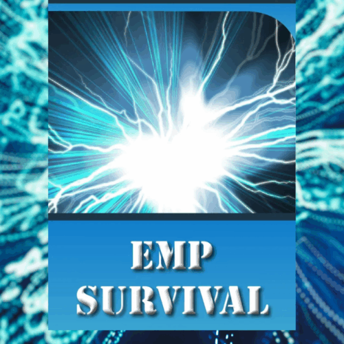 EMP Blackout Protocol Survival System