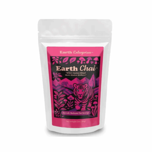 Earth Enterprises