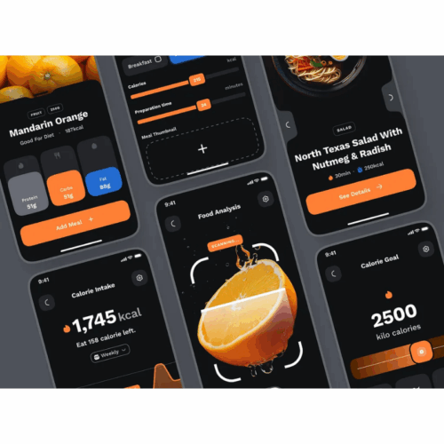 Food Analyzer Smart Nutrition Tracker