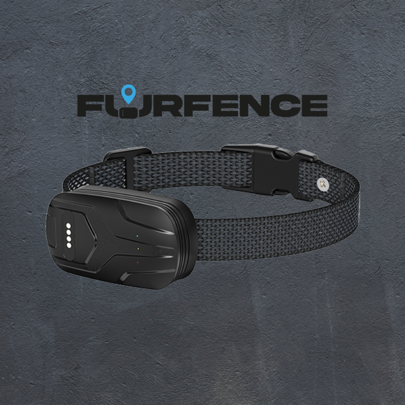 FurFence Dog Collar