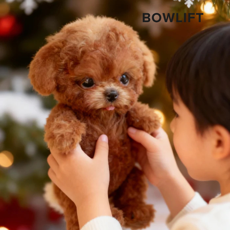 Bowlift Puppy