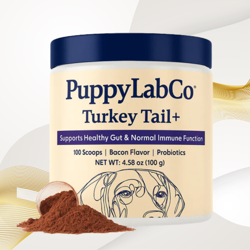 Puppy Lab Co Turkey Tail