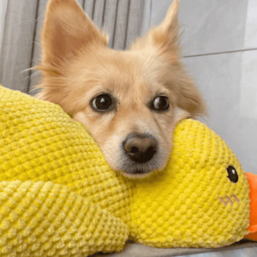 Biovet Calming Duck