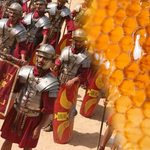 Army Ritual with Honey